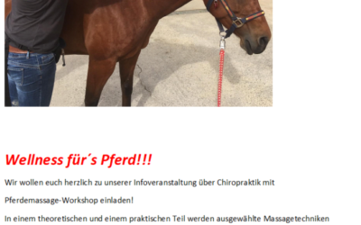 Pferdemassage-Workshop