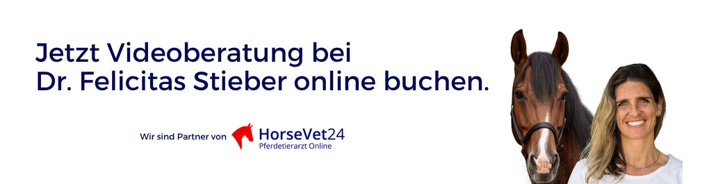 HV24 Banner L - 4
