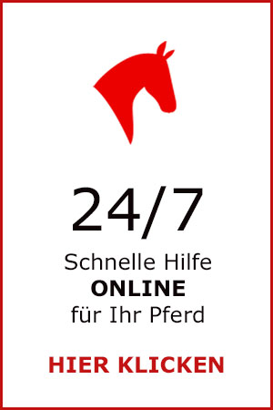 Schnelle-Hilfe-Felicitas-Stieber Kopie