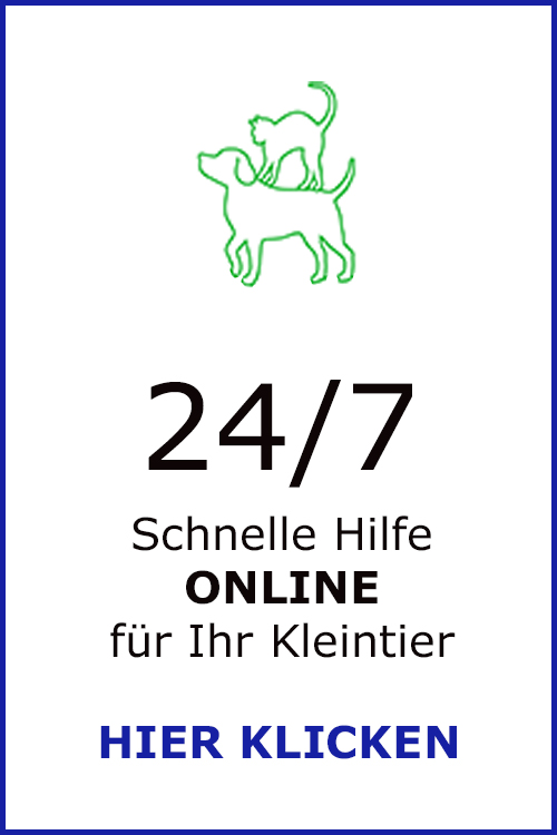 Schnelle-Hilfe-Kleintier-Felicitas-Stieber