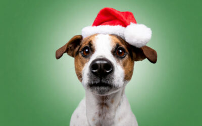 Weihnachtsurlaub vom 23.12.2025 bis 06.01.2026