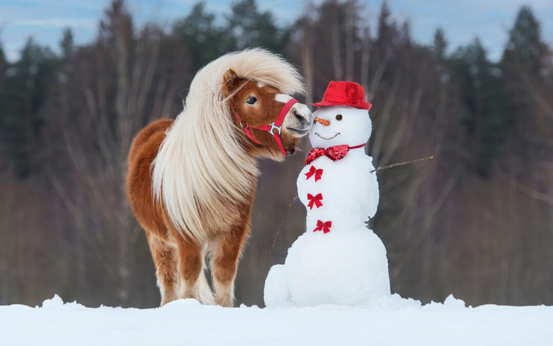 Liebe Kunden, am 23.Dezember '24 beginnt unser Weihnachtsurlaub. Ihre Terminanfragen beantworten wir gerne wieder ab dem 7. Januar 2025.